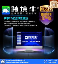 跨境引流系統(tǒng) 外貿企業(yè)獲取流量的關鍵軟件服務