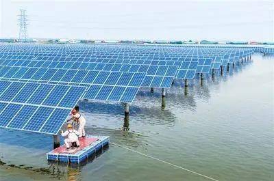 聚焦丨唐山豐南區“漁光互補”項目顯成效 助推畜牧漁業飼料銷售增長