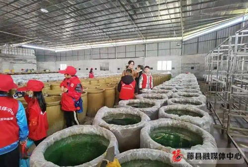 藤縣萃香食品廠 畜牧漁業飼料的創新與責任