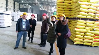 區畜牧獸醫局開展飼料企業安全生產節前大檢查 確保畜牧漁業飼料銷售安全