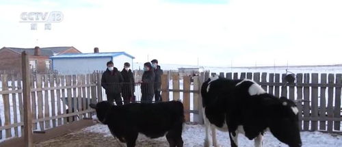 保暖服務專班提供精細化服務，保障漁業畜牧業生產安全與飼料銷售