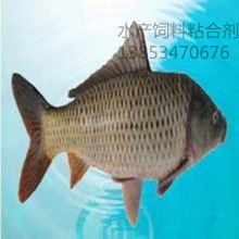 河南省漁業有限責任公司 多元養殖與專業飼料供應的水產先鋒